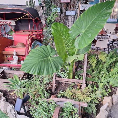 Site Paradis Rue Colibri Avinyon Dış mekan fotoğraf