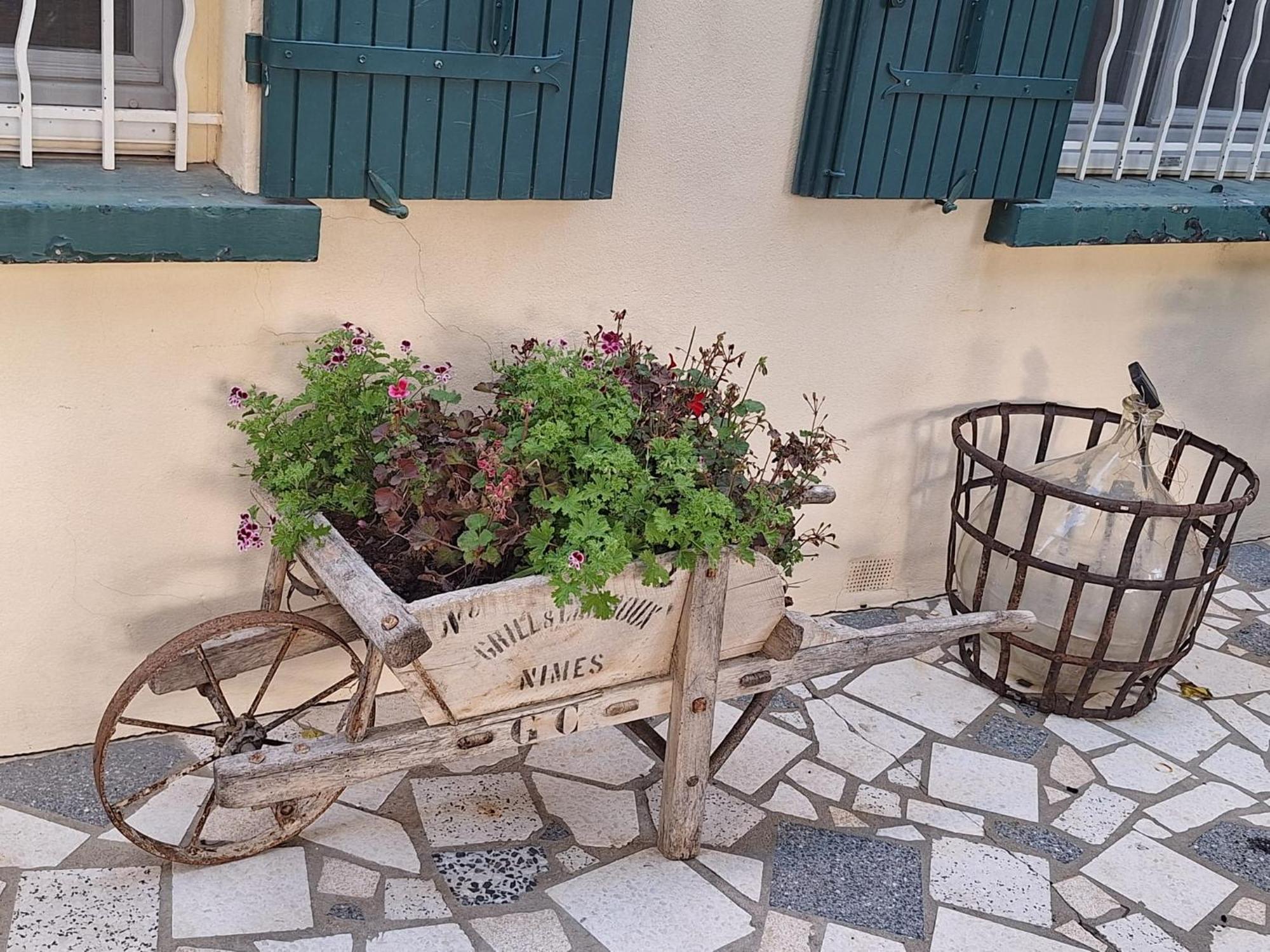 Site Paradis Rue Colibri Avinyon Dış mekan fotoğraf